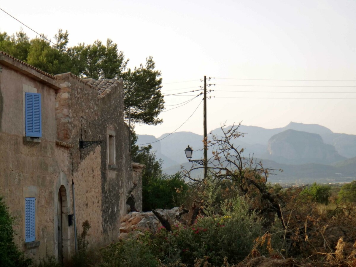 DSC05850