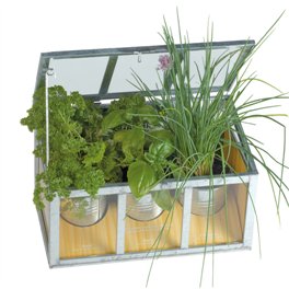 serre-chassis-plantes-aromatiques-1