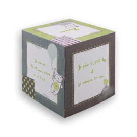 faire-part-naissance-sucre-orge-c4917-cube-personnages