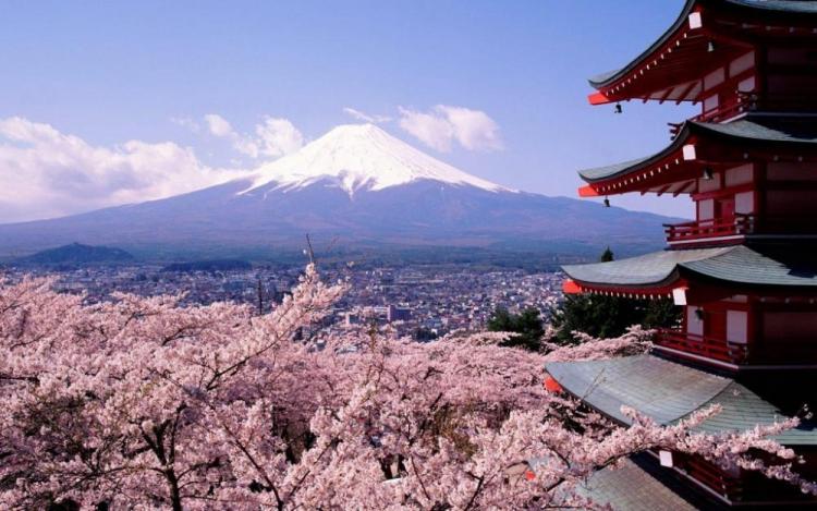 tokyo-fuji-mountain-and-sakura-flower-hd-wallpaper-desktop-1024x640