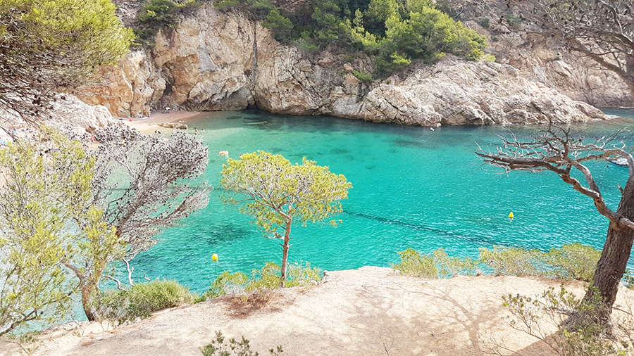 tossamar4