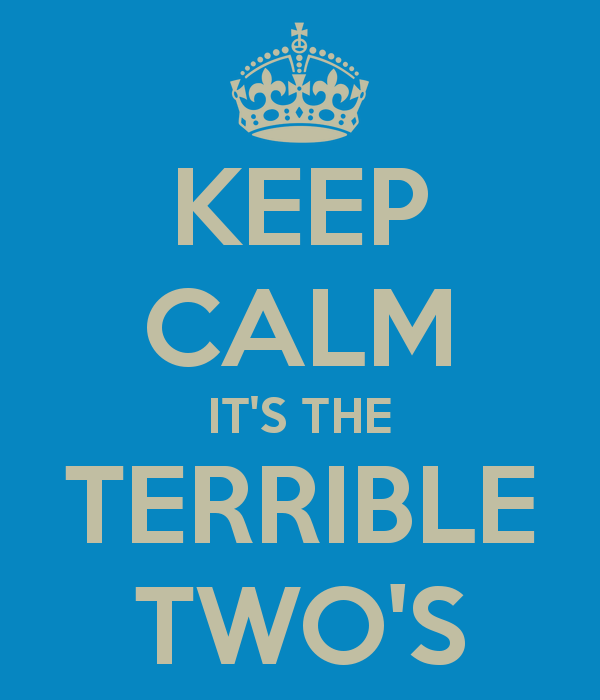 keep-calm-it-s-the-terrible-two-s