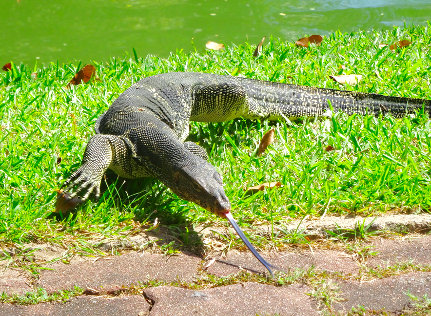 bangkok en famille