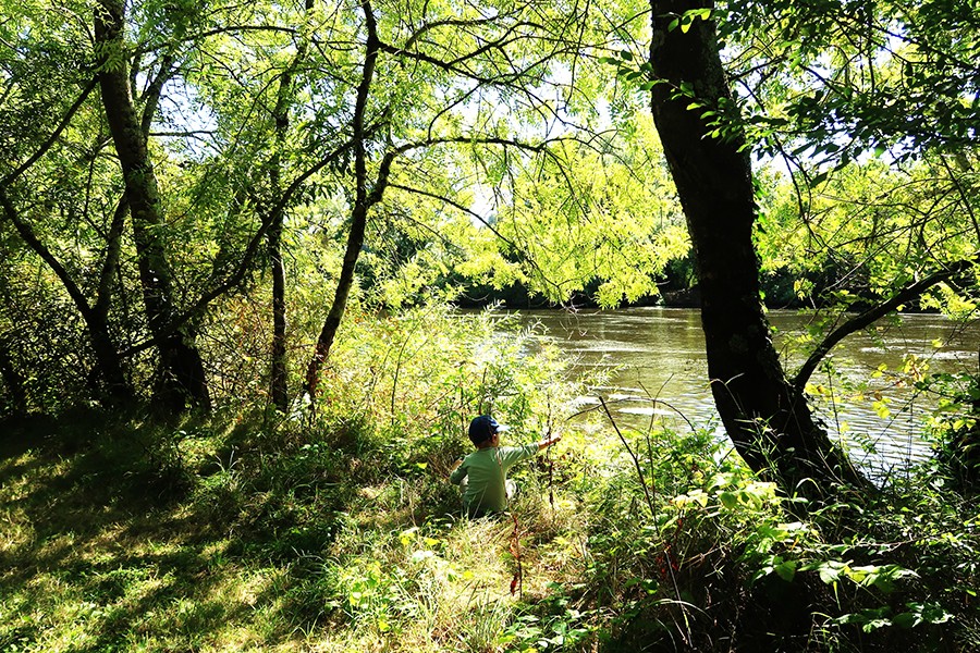 parc de vertou