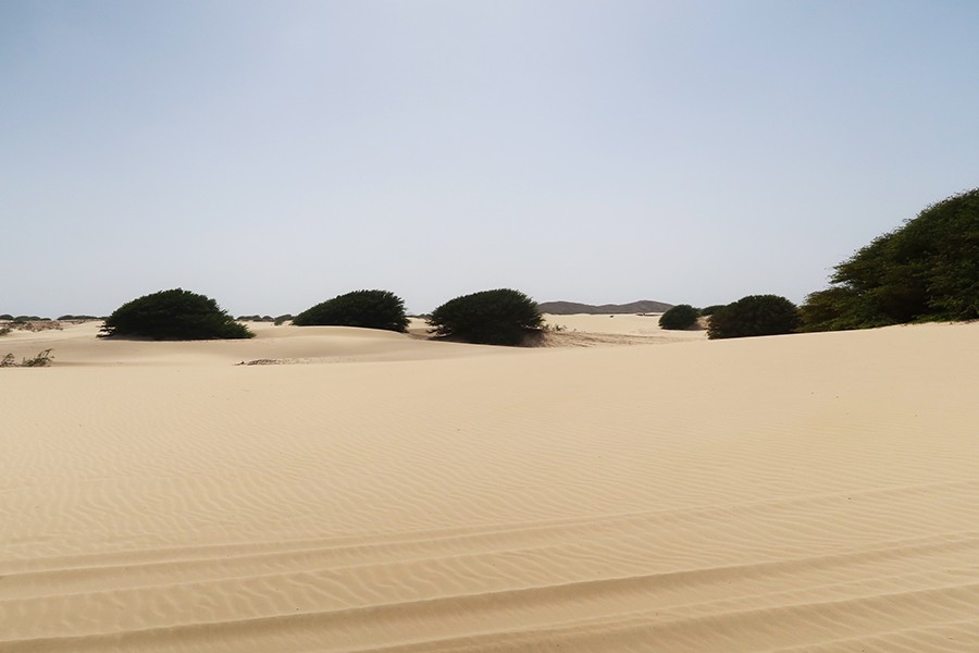 3 jours sur l'ile de boa vista cap vert