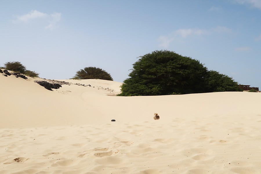 3 jours sur l'ile de boa vista cap vert