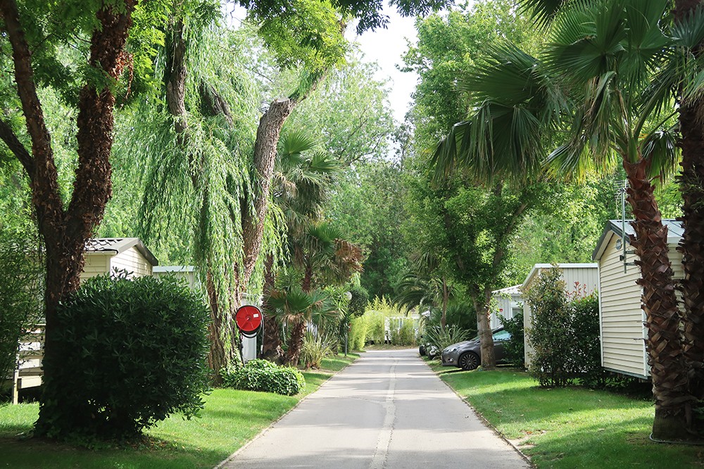 camping sirène argelès