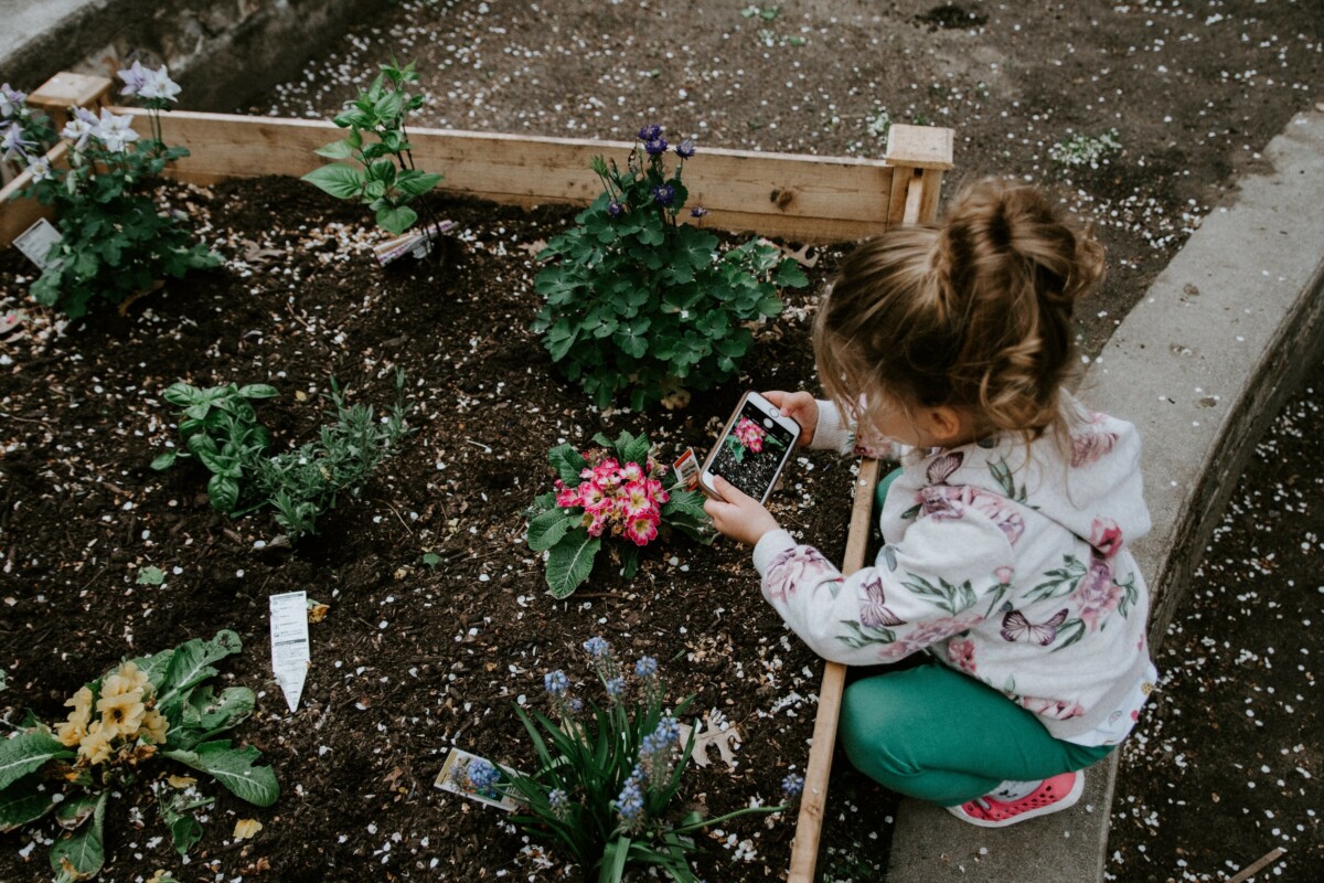 POTAGER ENFANT