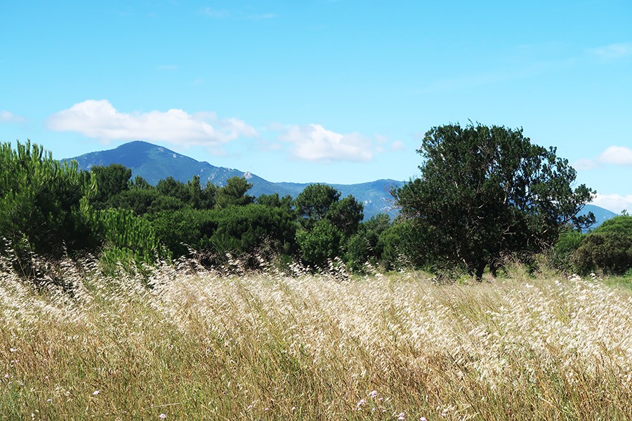 Argelès sur mer