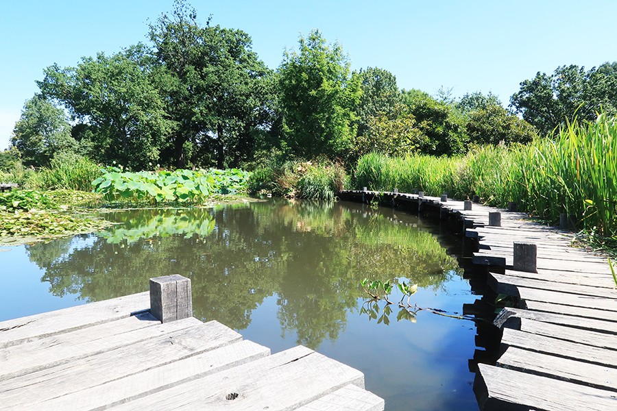 Le parc du grand Blottereau à Nantes