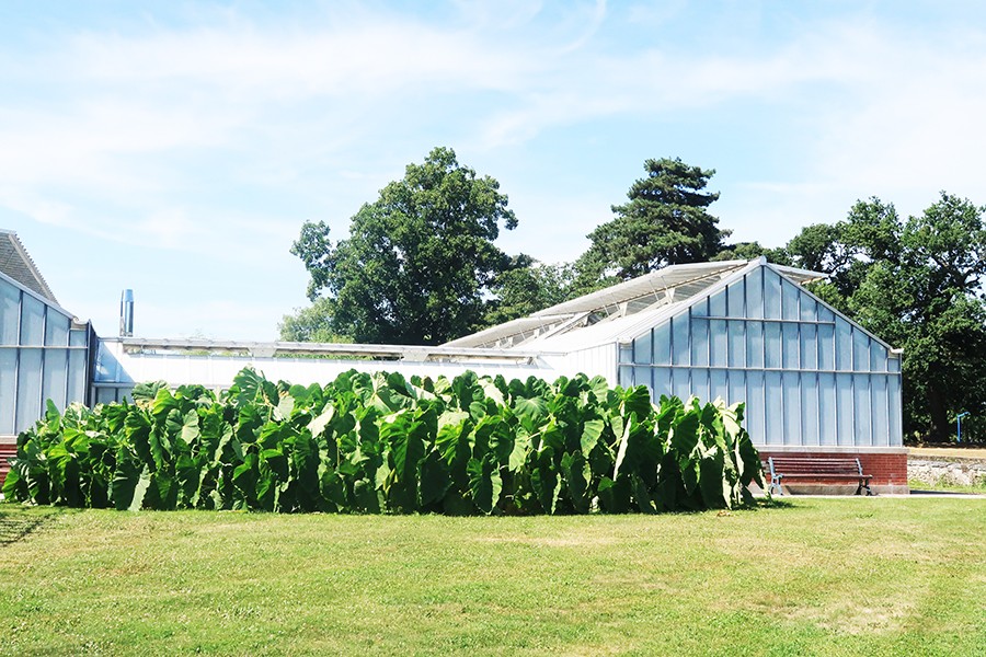 Le parc du grand Blottereau à Nantes