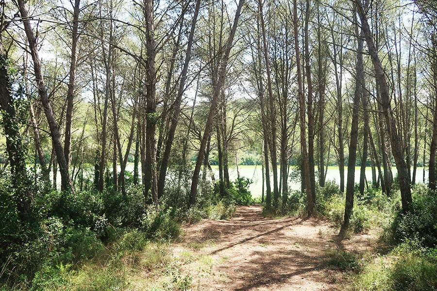 parc naturel Panta de Foix