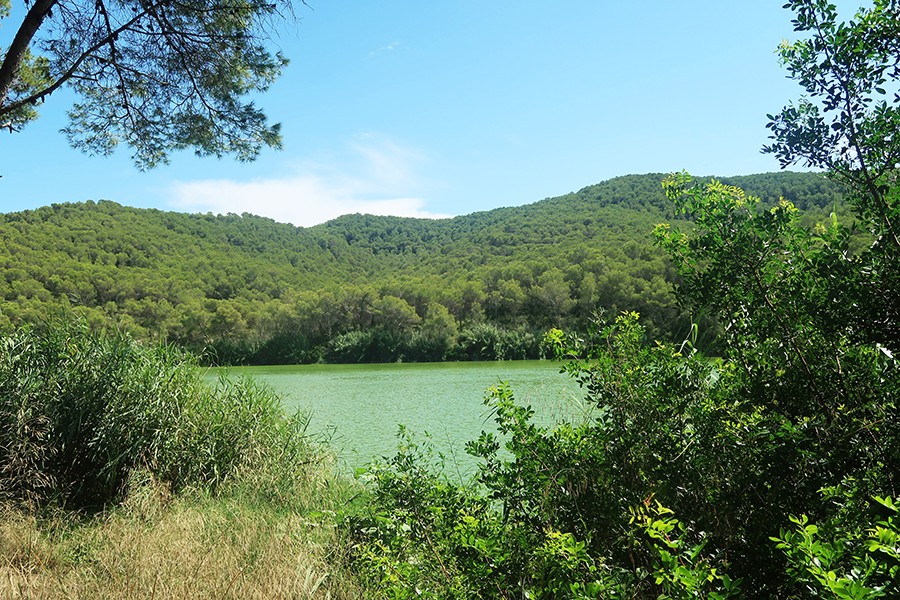 parc naturel Panta de Foix