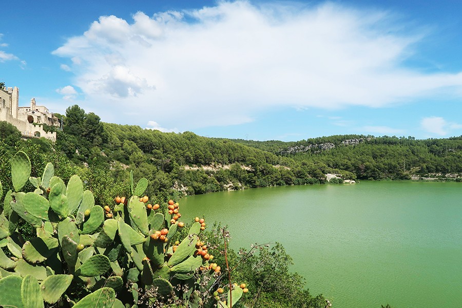 parc naturel Panta de Foix