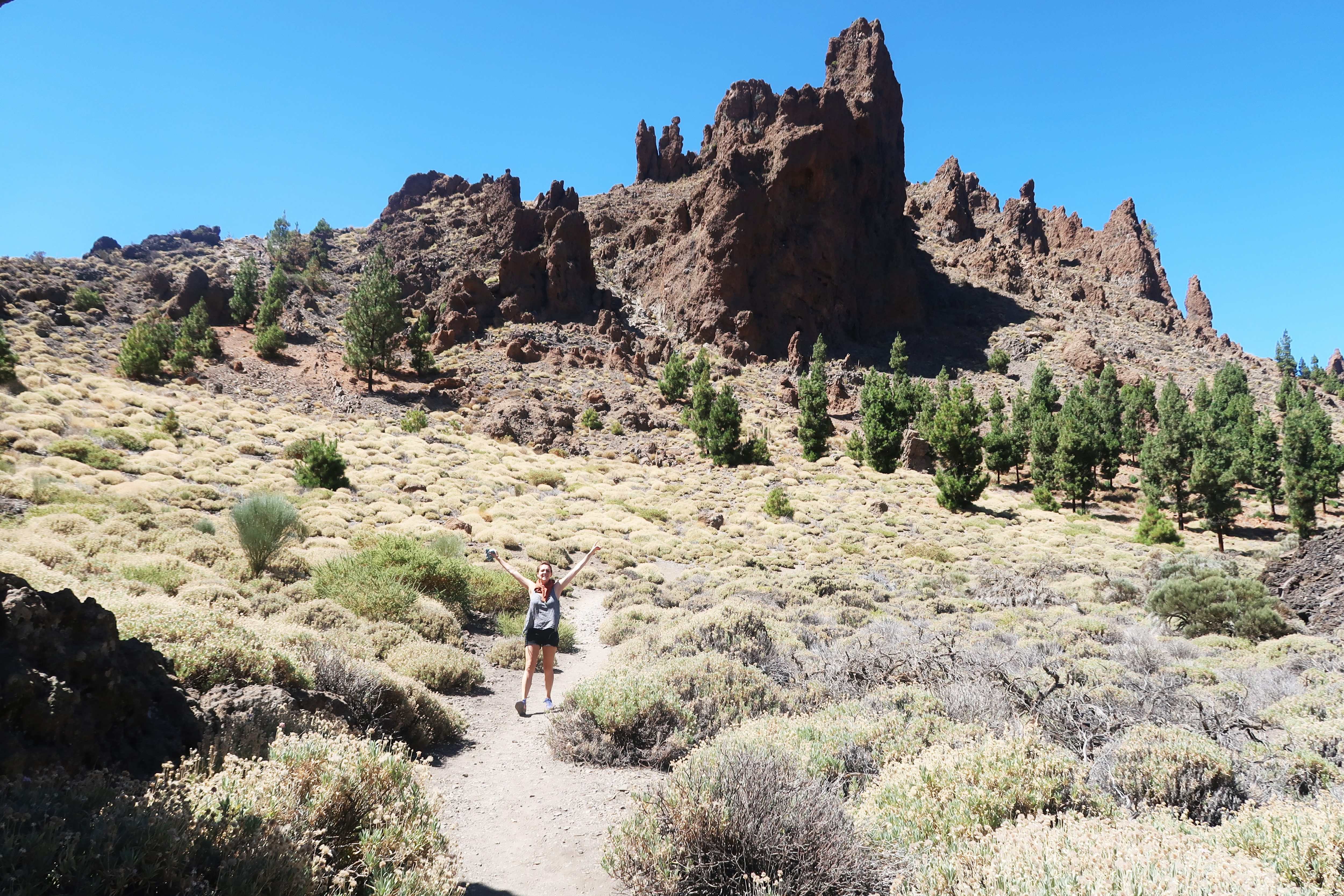 montteidetenerife