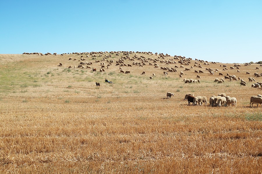 roadtripbardenas