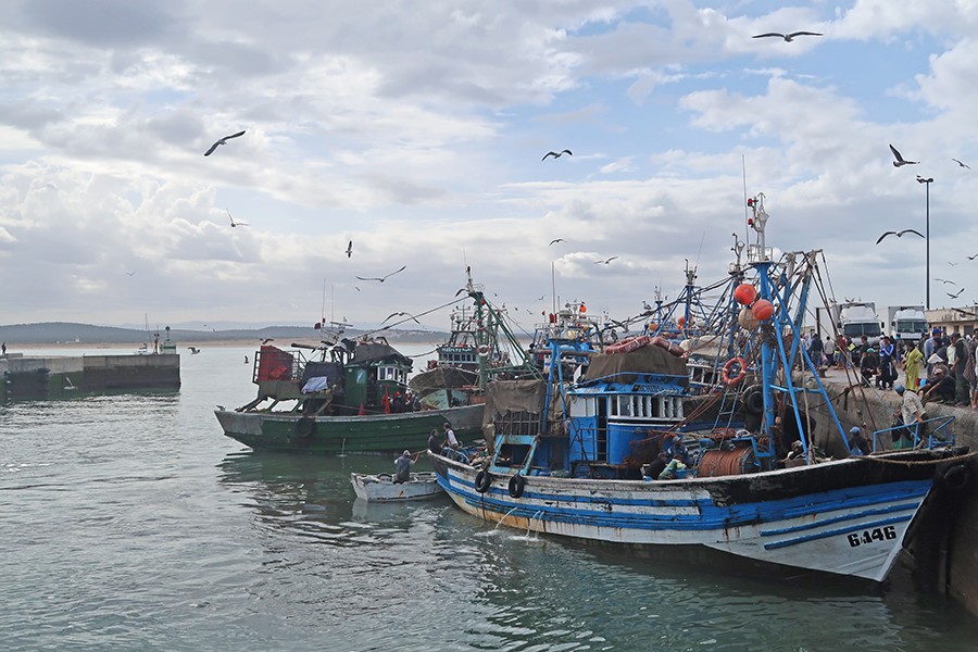 essaouira