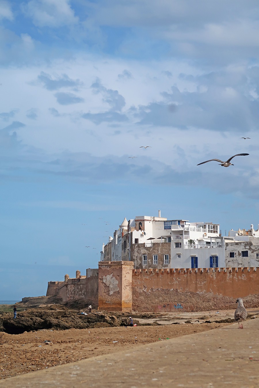 essaouira