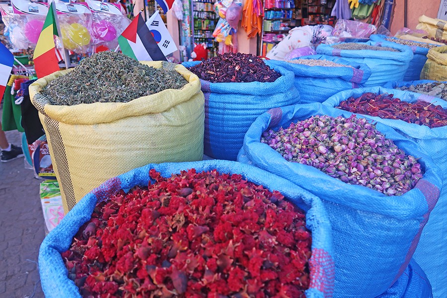 marrakechenfamilleb