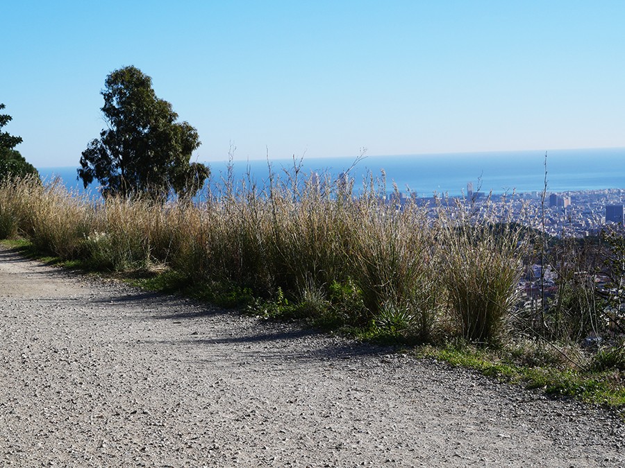 carreteras de agua barcelona