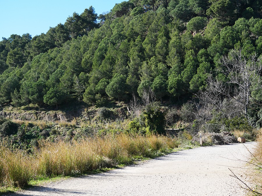 carreteras de agua barcelona