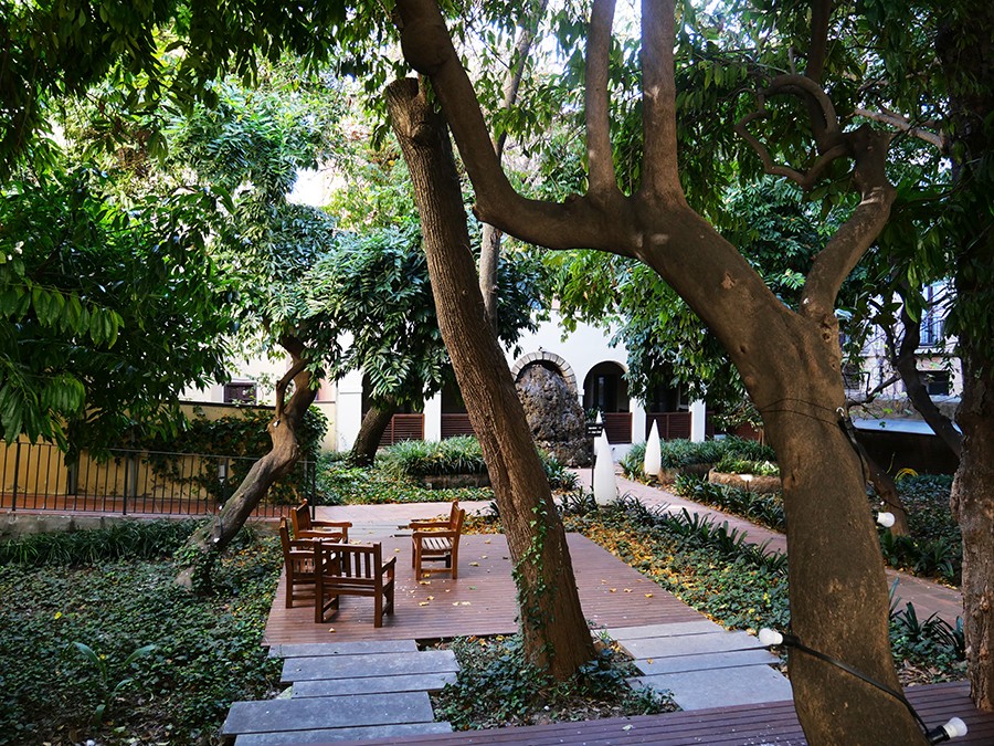 jardí de la casa ignacio de puig