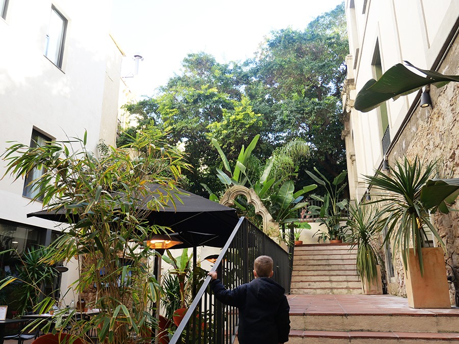 jardí de la casa ignacio de puig