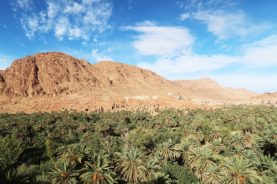 Tinghir et les gorges du Toudra