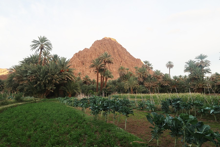 Tinghir et les gorges du Toudra