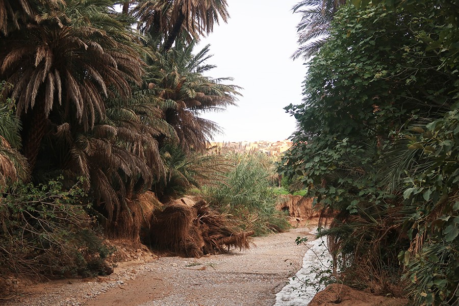 Tinghir et les gorges du Toudra