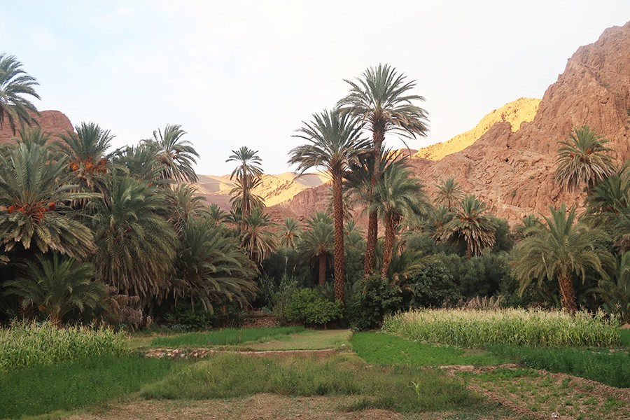 Tinghir et les gorges du Toudra