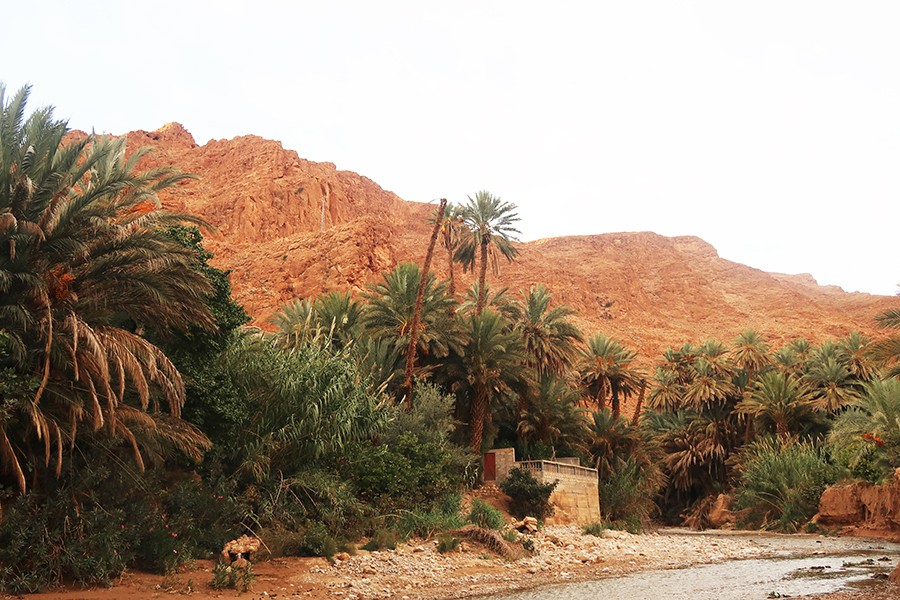 Tinghir et les gorges du Toudra