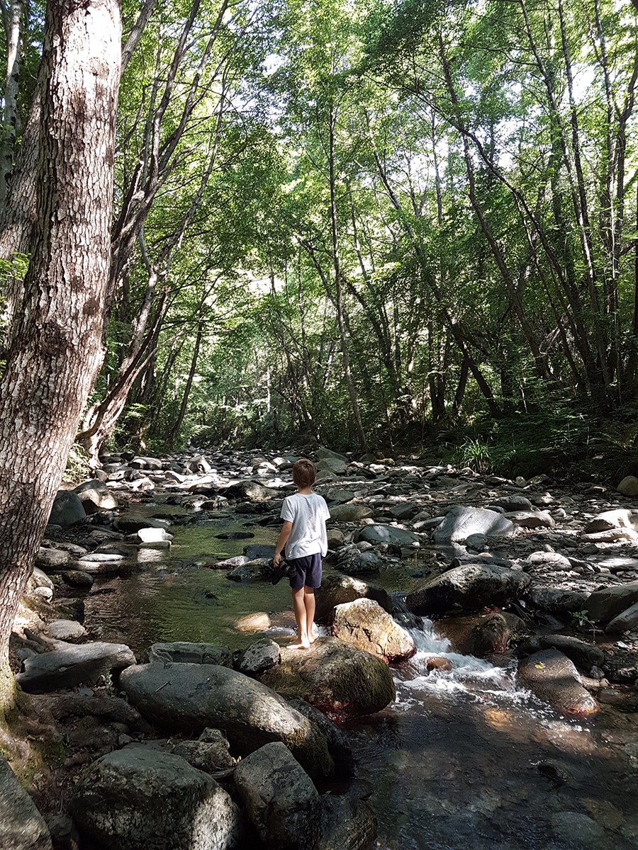 Les piscines del Montseny