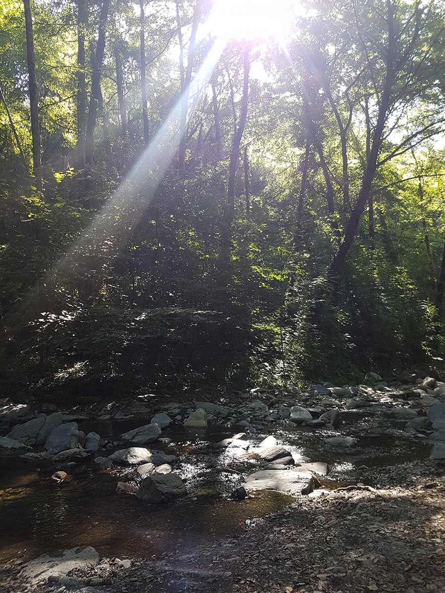 Les piscines del Montseny