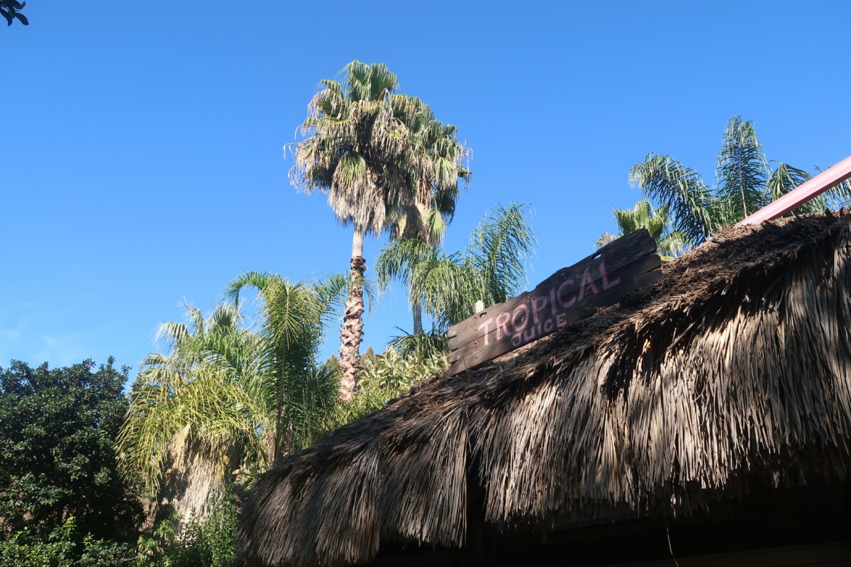 port aventura en famille