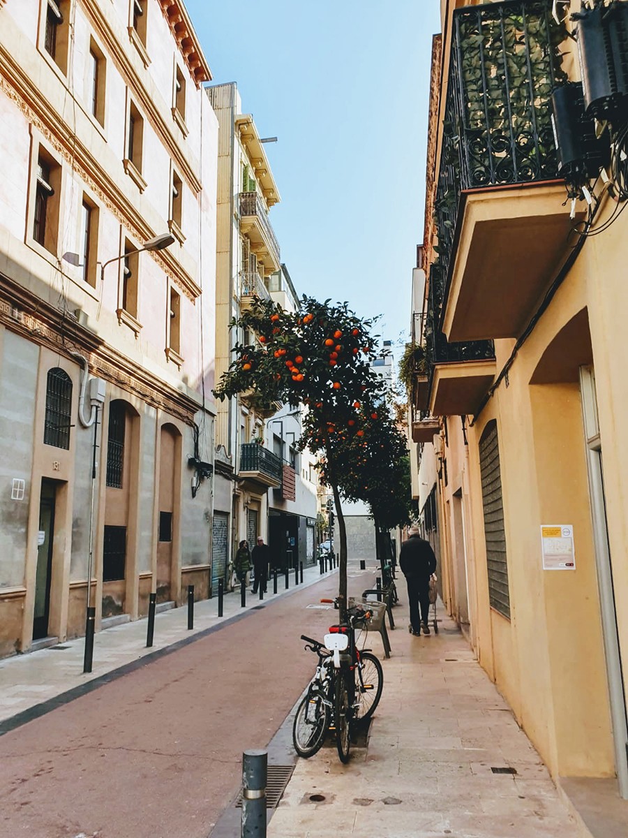 marbella et poblenou