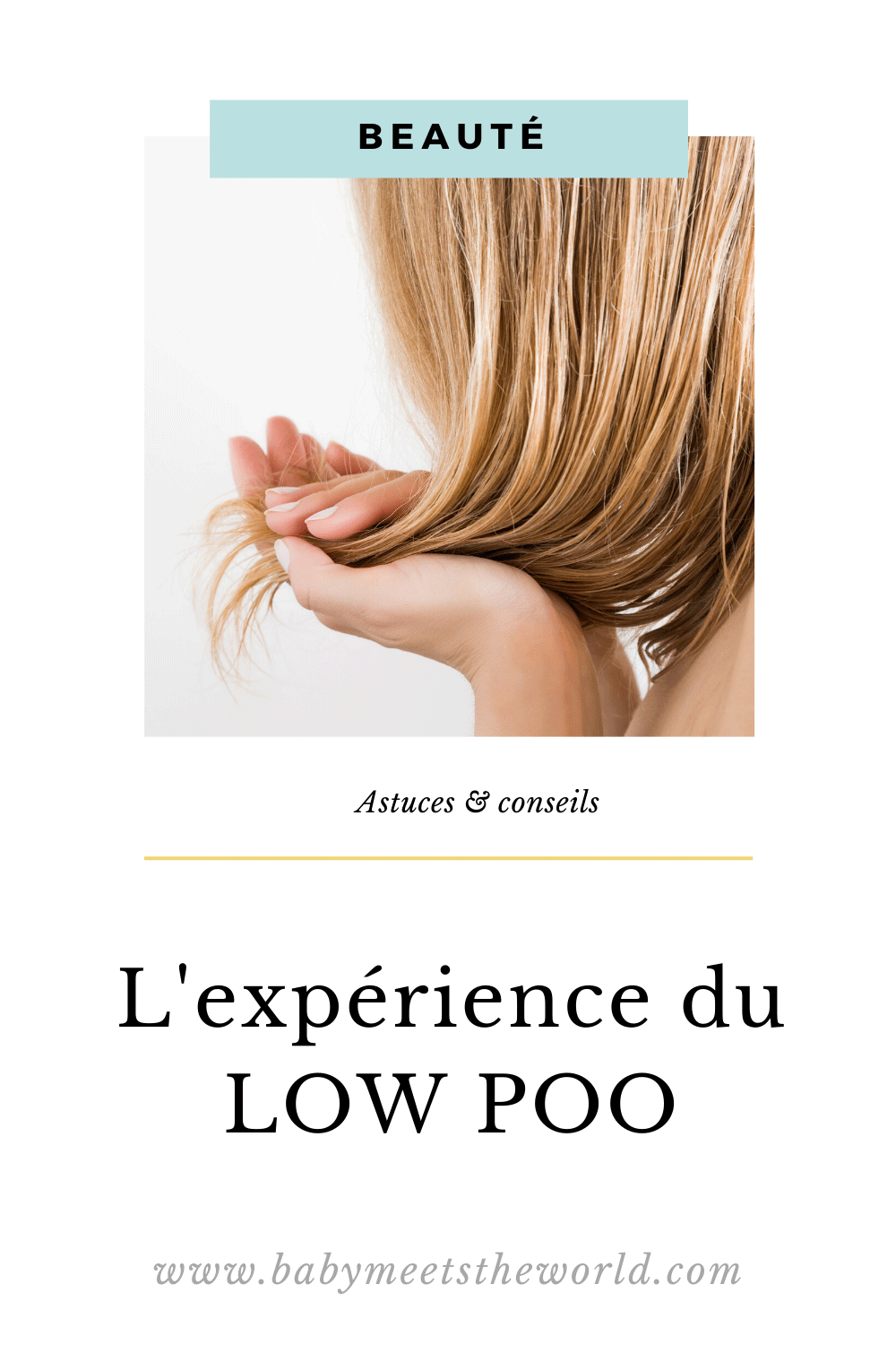 L'expérience du LOW POO
