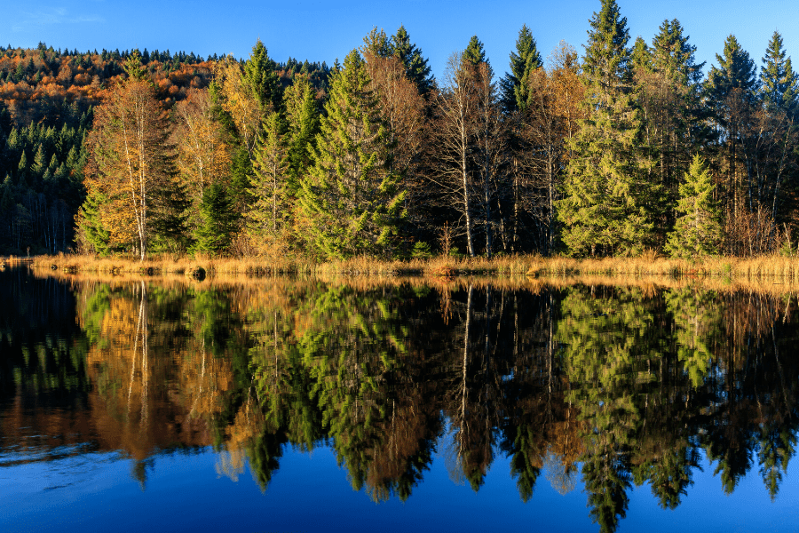 Lac du Lispach vs canada