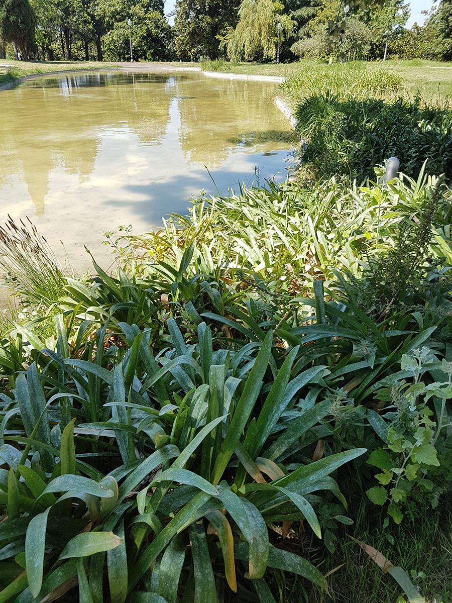 Mossèn Cinto Verdaguer