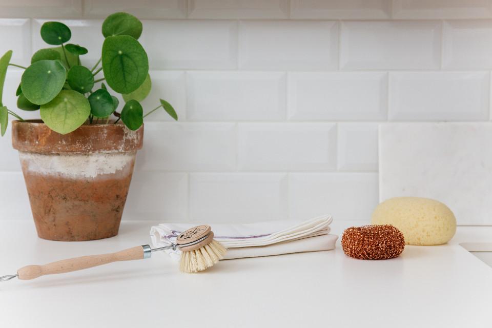 brosse a vaisselle en bois