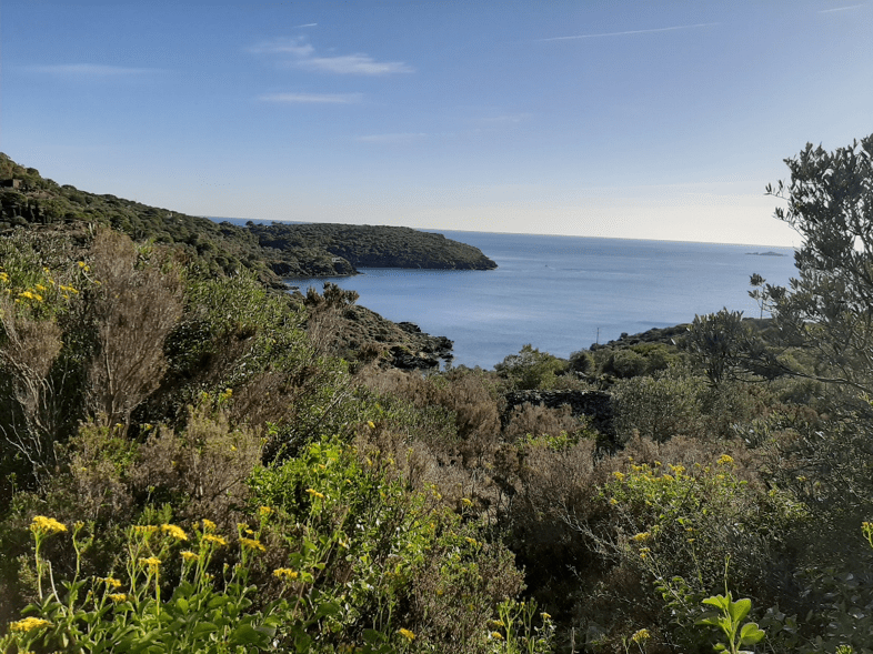 criques cap de creus