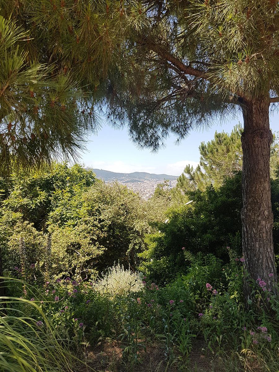 nature à Barcelone