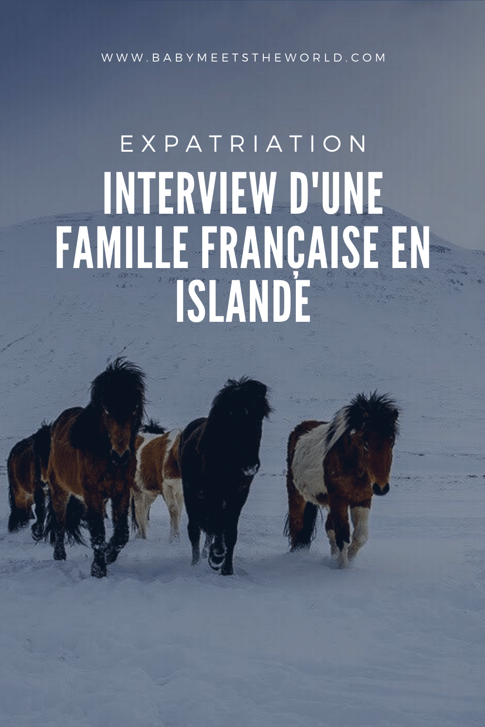 français expat islande