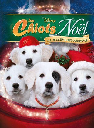 Les chiots Noël, la relève est arrivée