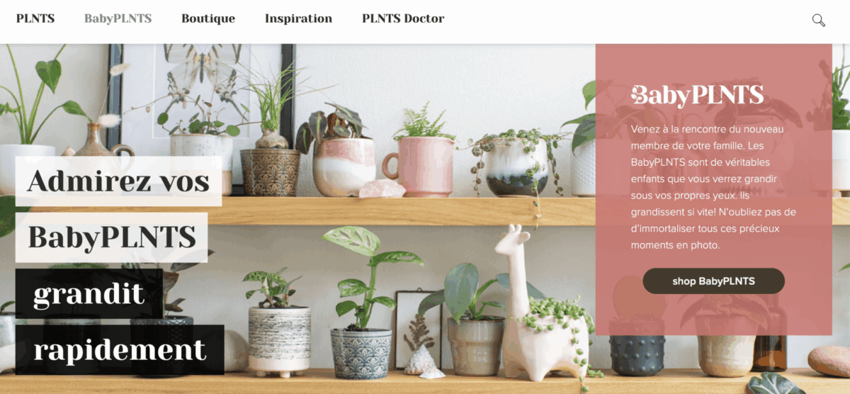 les baby plantes de chez Plnts