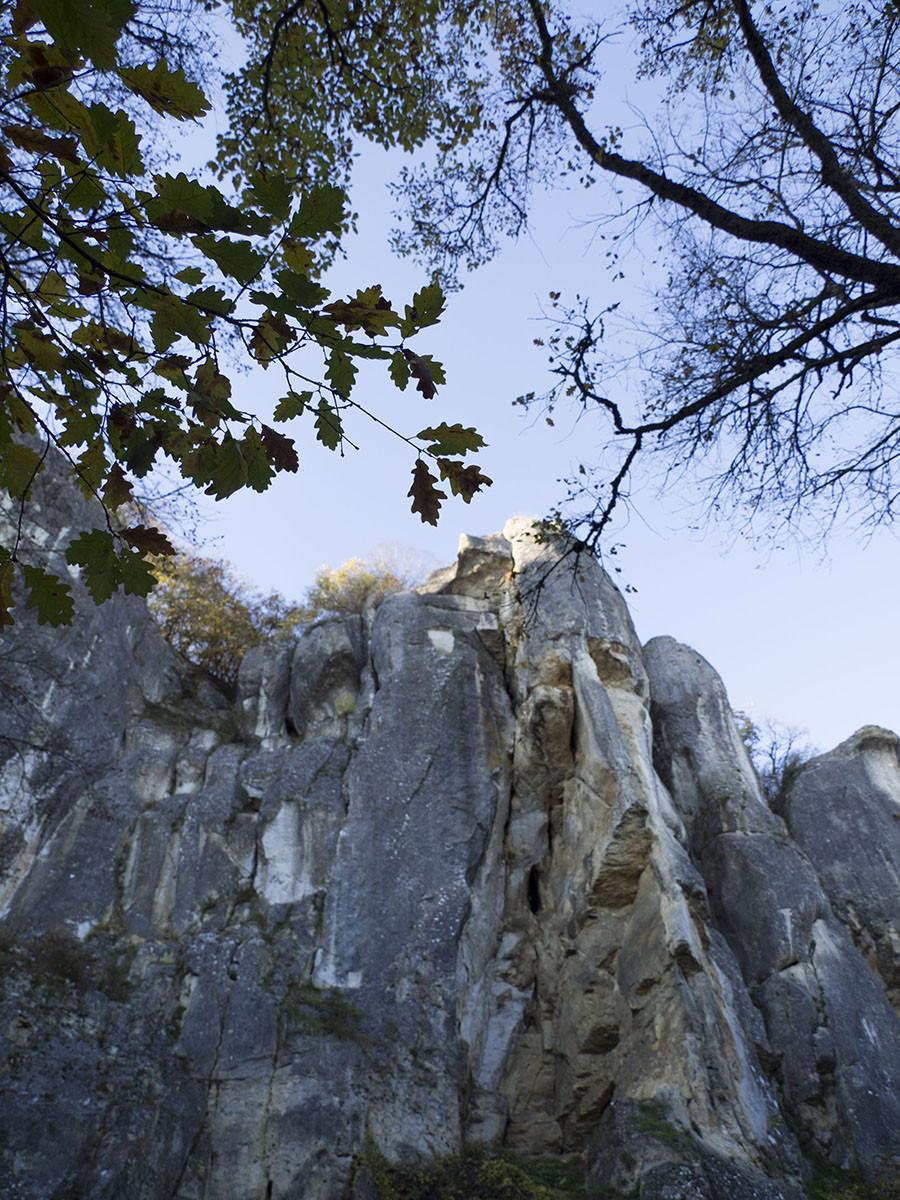 roche de basseville