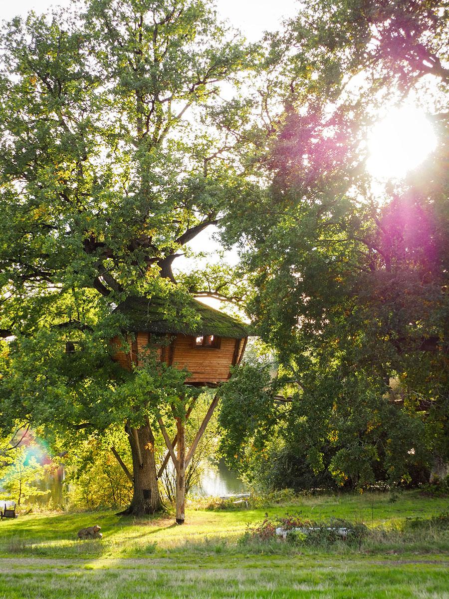 cabane perchée morvan