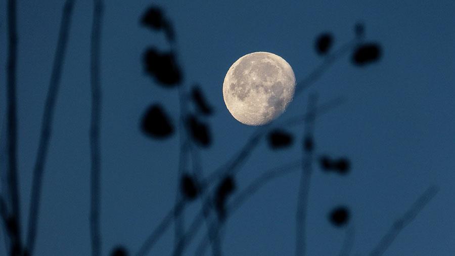 rituel nouvelle lune